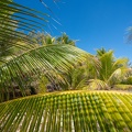 REF202008110856