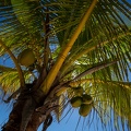 REF202008121095