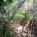 REF202008131269