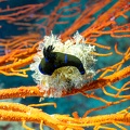 REF202011055734