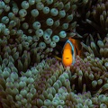 REF202011056032