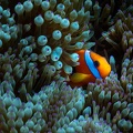 REF202011056034