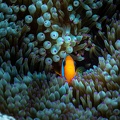 REF202011056050