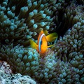 REF202011056054