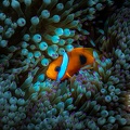 REF202011056078