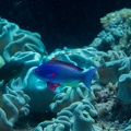 REF202011066772