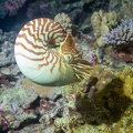 REF201810192723