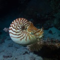 REF201810192883