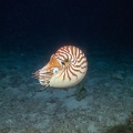 REF201810203768