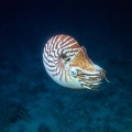 REF201810203844