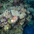 REF201810214316