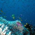 REF202007139107