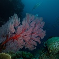 REF202007139154