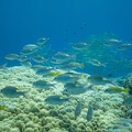 REF202111138058