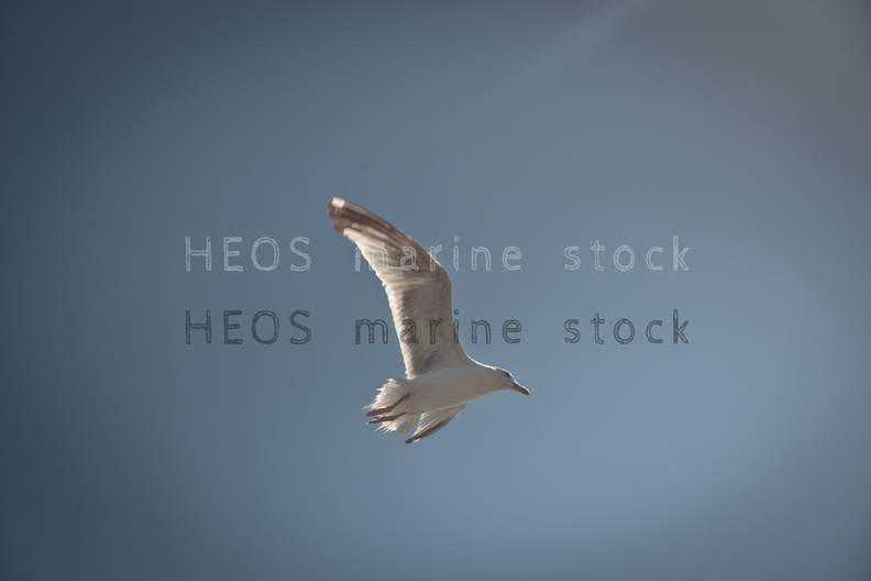 REF201308025766.jpg