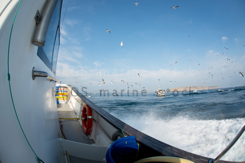 REF201309054028.jpg
