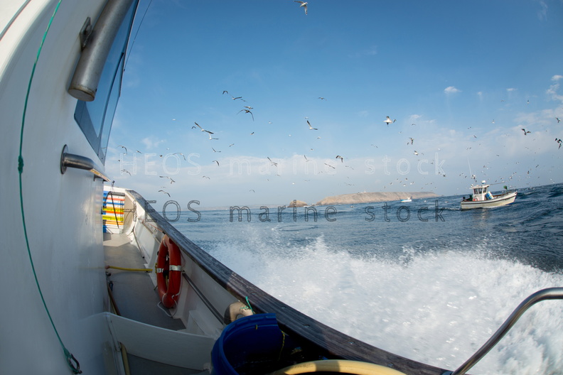 REF201309054029.jpg