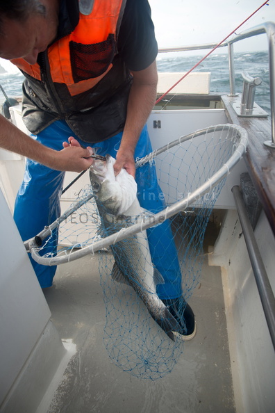 REF201309054112.jpg