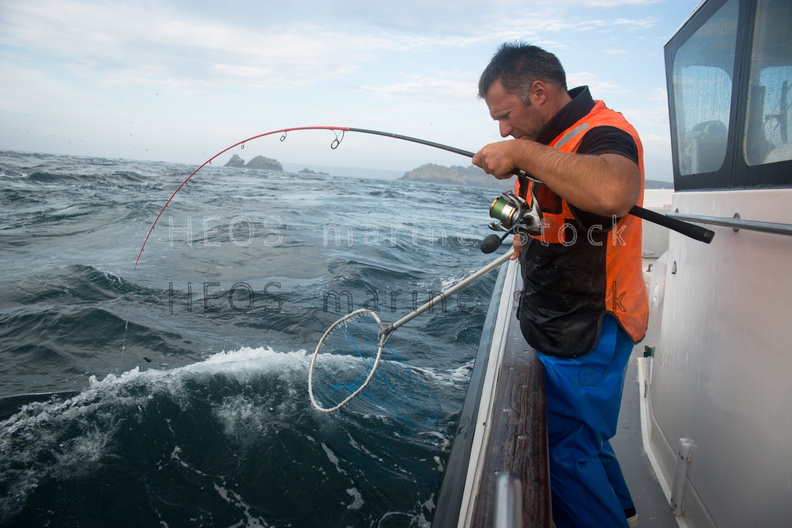 REF201309054178.jpg