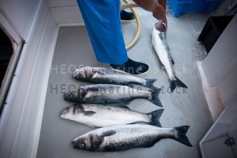 REF201309054523.jpg
