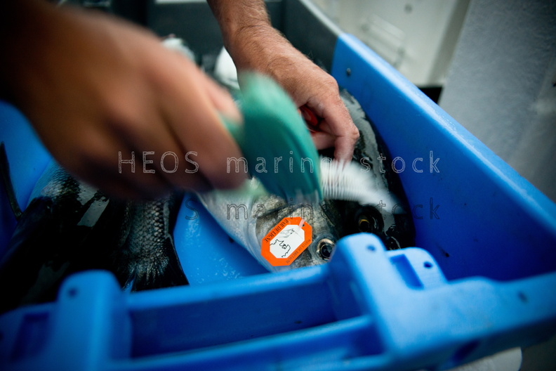 REF201309054570.jpg