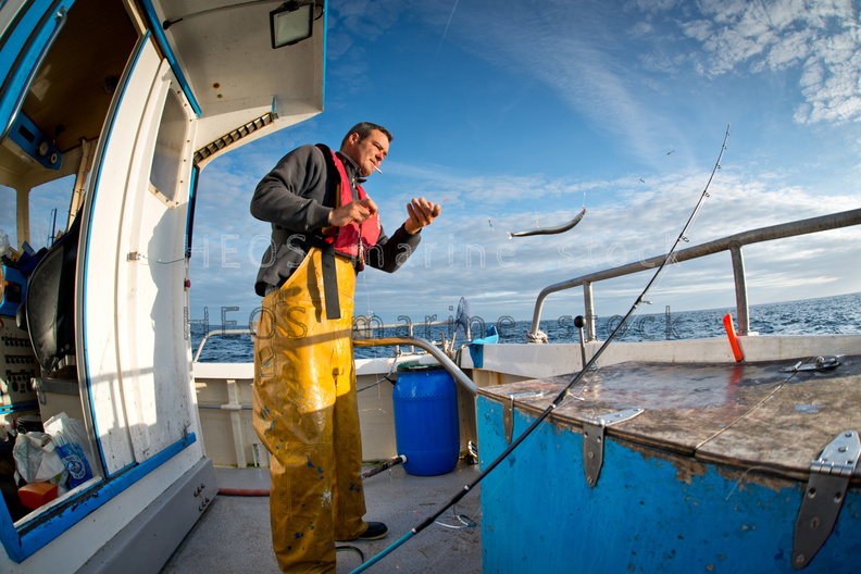 REF201309114765.jpg
