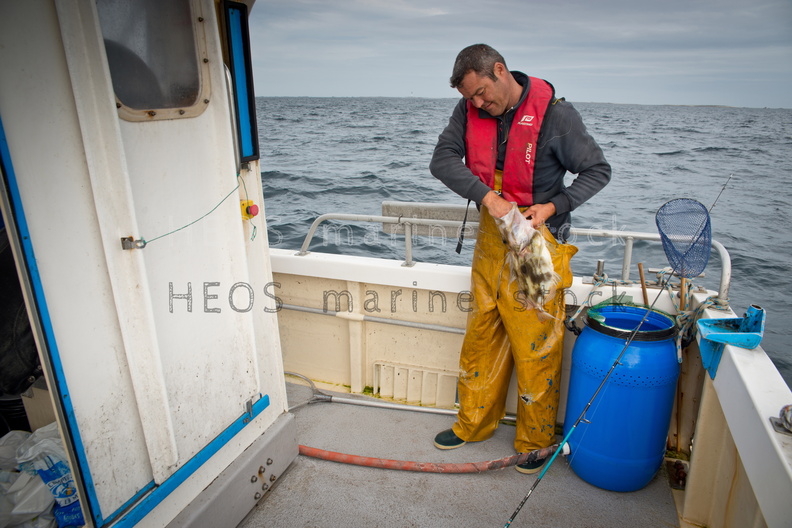 REF201309115030.jpg