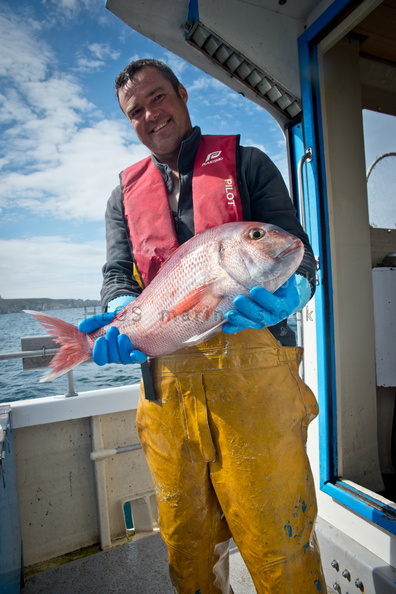 REF201309115495.jpg