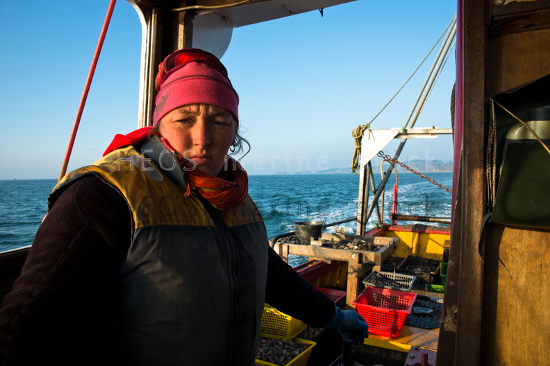 REF201312107149.jpg