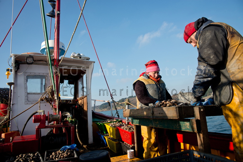 REF201312107728.jpg