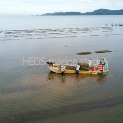 NC - Ostreiculture Dumbea