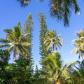 REF202403013355