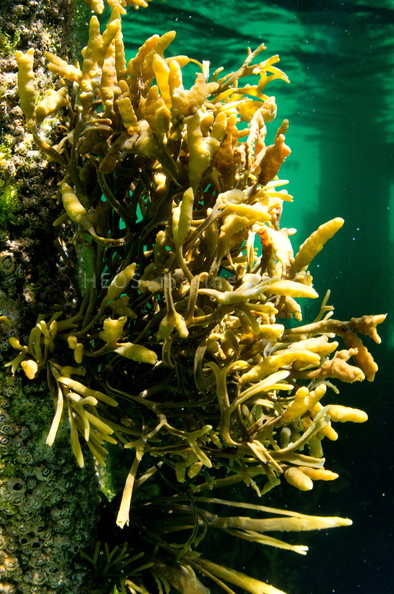 REF201308014773.jpg