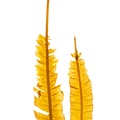 REF201610027597