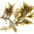 REF201605073588