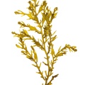 REF201605073629