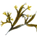 REF201605072879