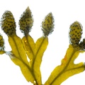 REF201605072656