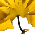 REF201605073913