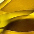 REF201605074028