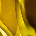 REF201605074030