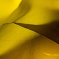 REF201605074044