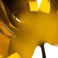 REF201605074175