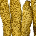 REF201605106982