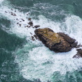 REF201907300542
