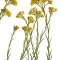 REF201907272331