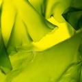 REF201603094745