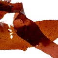 REF201609196046