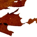 REF201609196100