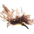 REF201603094890